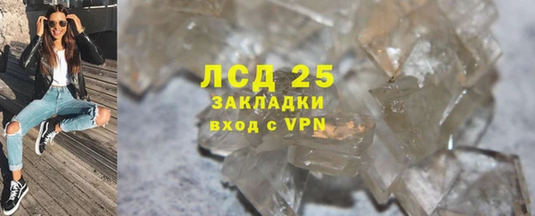 индика Алексин