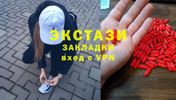 индика Алексин