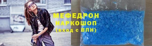 индика Алексин