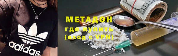индика Алексин