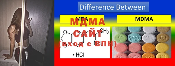 индика Алексин