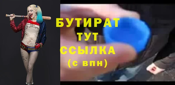 индика Алексин