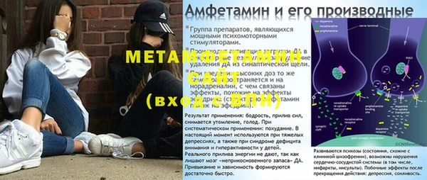 индика Алексин