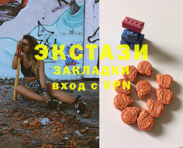индика Алексин