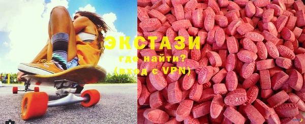 индика Алексин