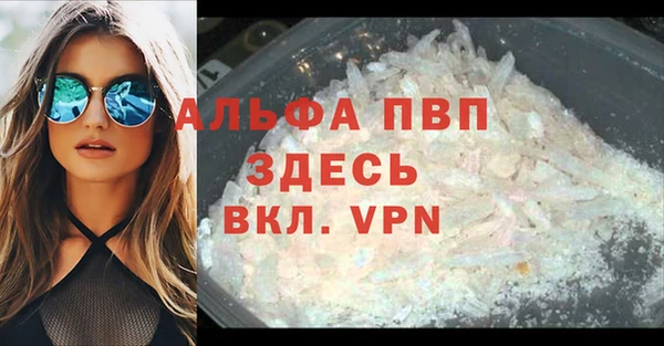 индика Алексин