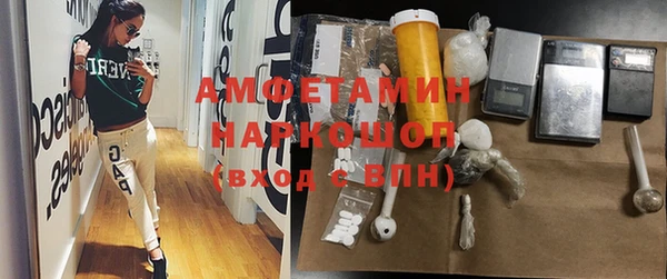 гашик Алзамай