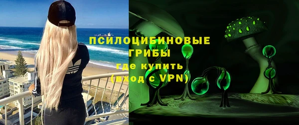 индика Алексин