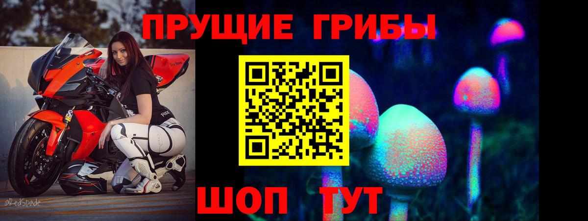 Ишимбай  Псилоцибиновые грибы ЛСД  Вход с VPN 